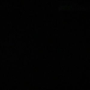 Meet your Posher, Wally